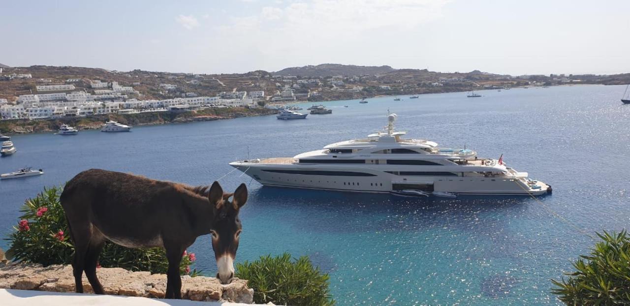 الشقق الفندقية بساروفي  Mykonos Azure المظهر الخارجي الصورة